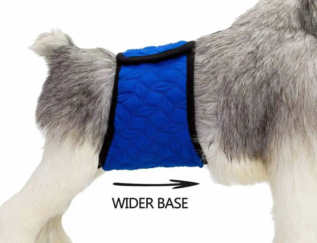 belly Bands For Dogs