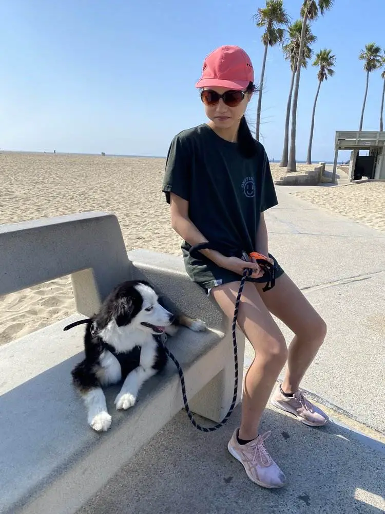 Laguna Beach Dog Rules_Newport Beach