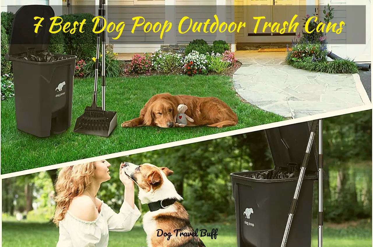 Best Dog Poop Outdoor Trash Cans