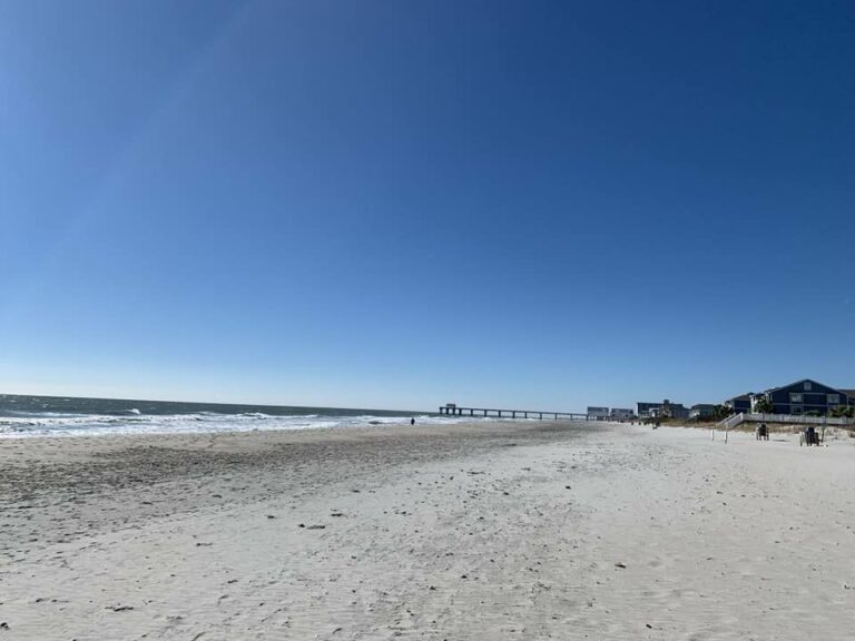 must-know-surfside-beach-s-latest-dog-rules-updates